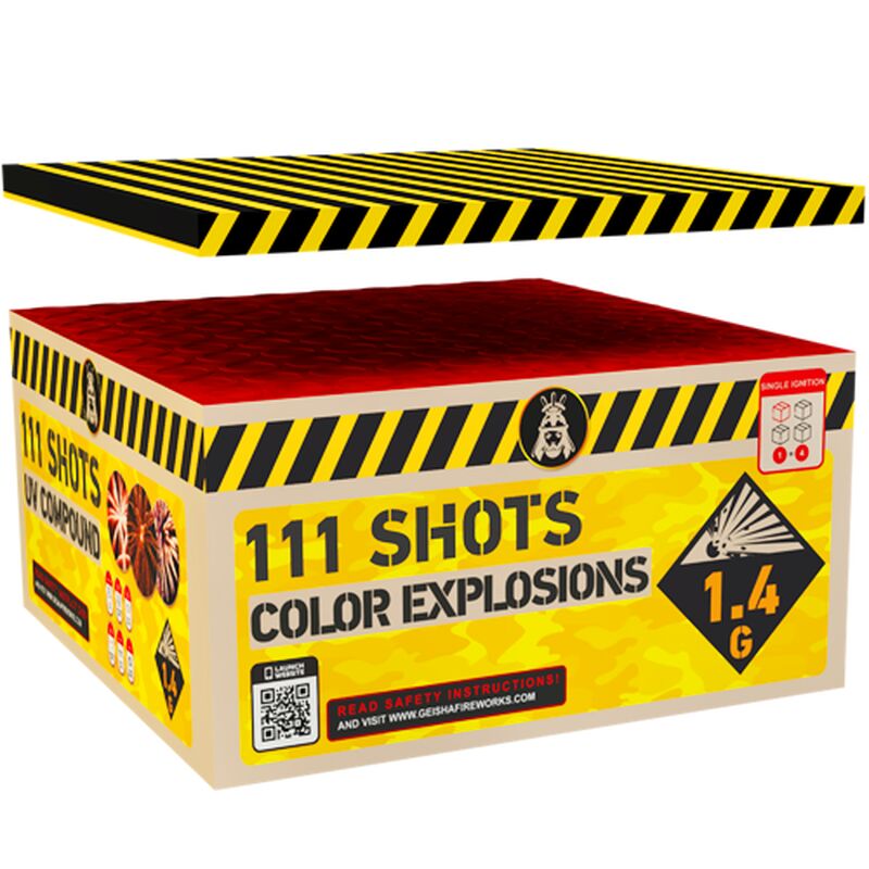 Color Explosion 111-Schuss-Feuerwerkverbund kaufen