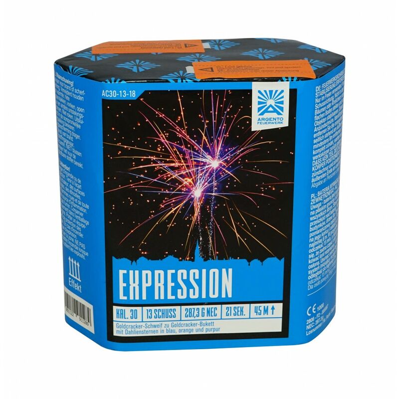Expression 13-Schuss-Feuerwerk-Batterie kaufen