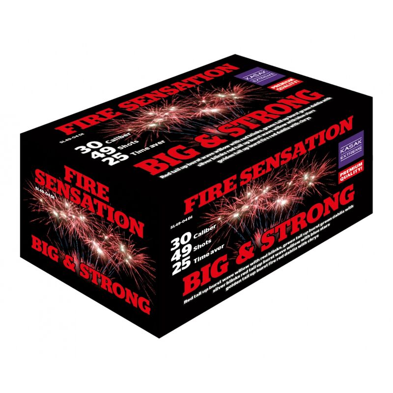 Fire Sensation 49-Schuss-Feuerwerkverbund kaufen