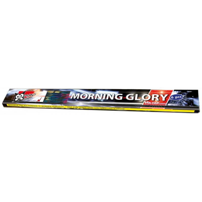 Morning Glory XL 6 Stück kaufen