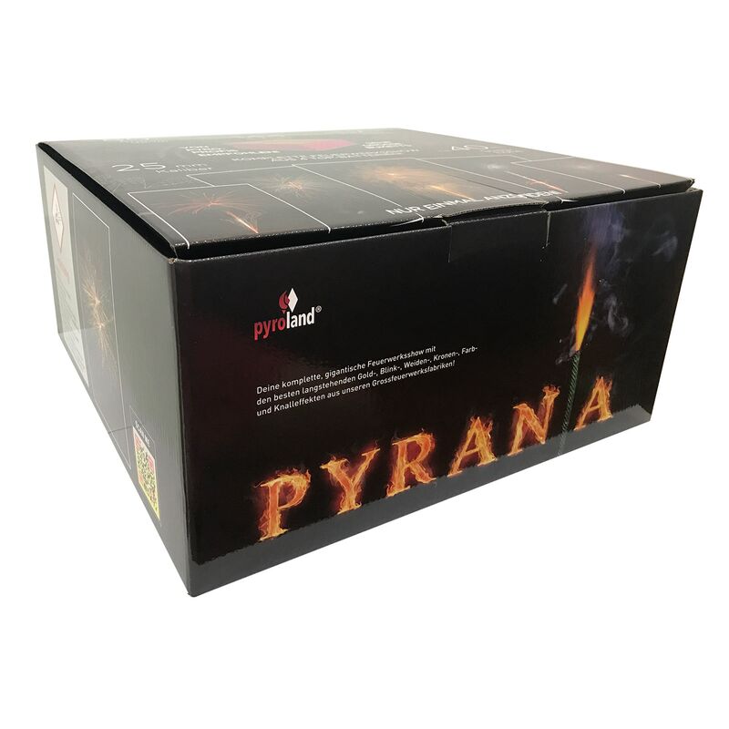 Pyrania 144-Schuss-Feuerwerkverbund kaufen