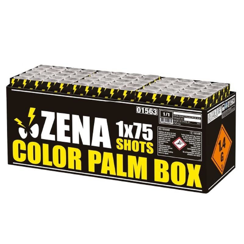 Zena Color Palm Box 75-Schuss-Feuerwerkverbund kaufen